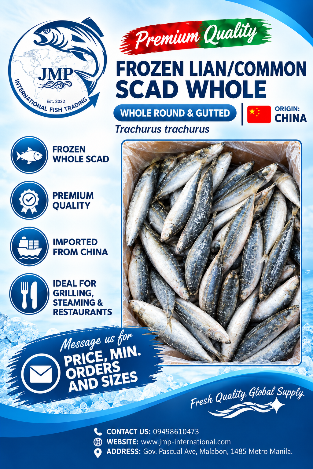 Frozen Common Scad